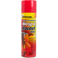 Wasp & Hornet Killer